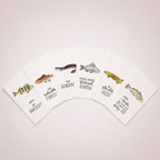 SET Postkarten „Fisch-Kollektiv-Serie“ Rügen