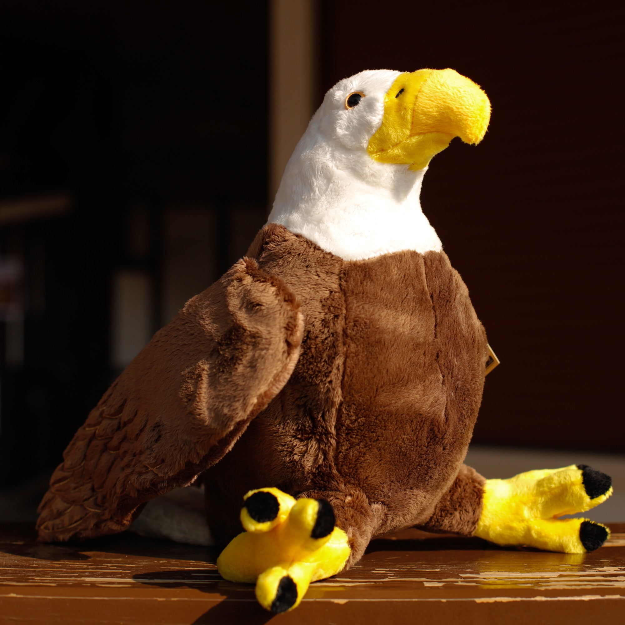 Ben der Plüschadler - Plüsch Mega Weißkopfseeadler