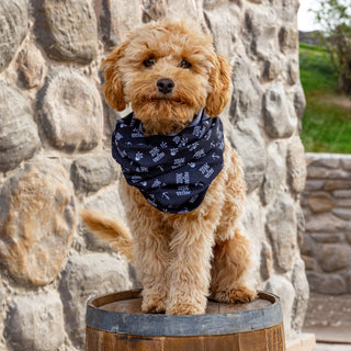 Schlauchschal „Gottes Freund & Aller Welt Feind“ – Unisex