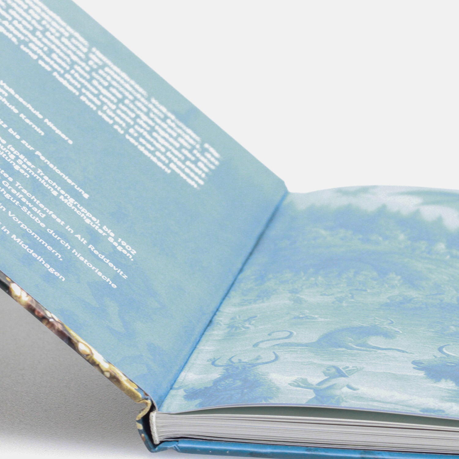 Buch »Sagen von der Insel Rügen«