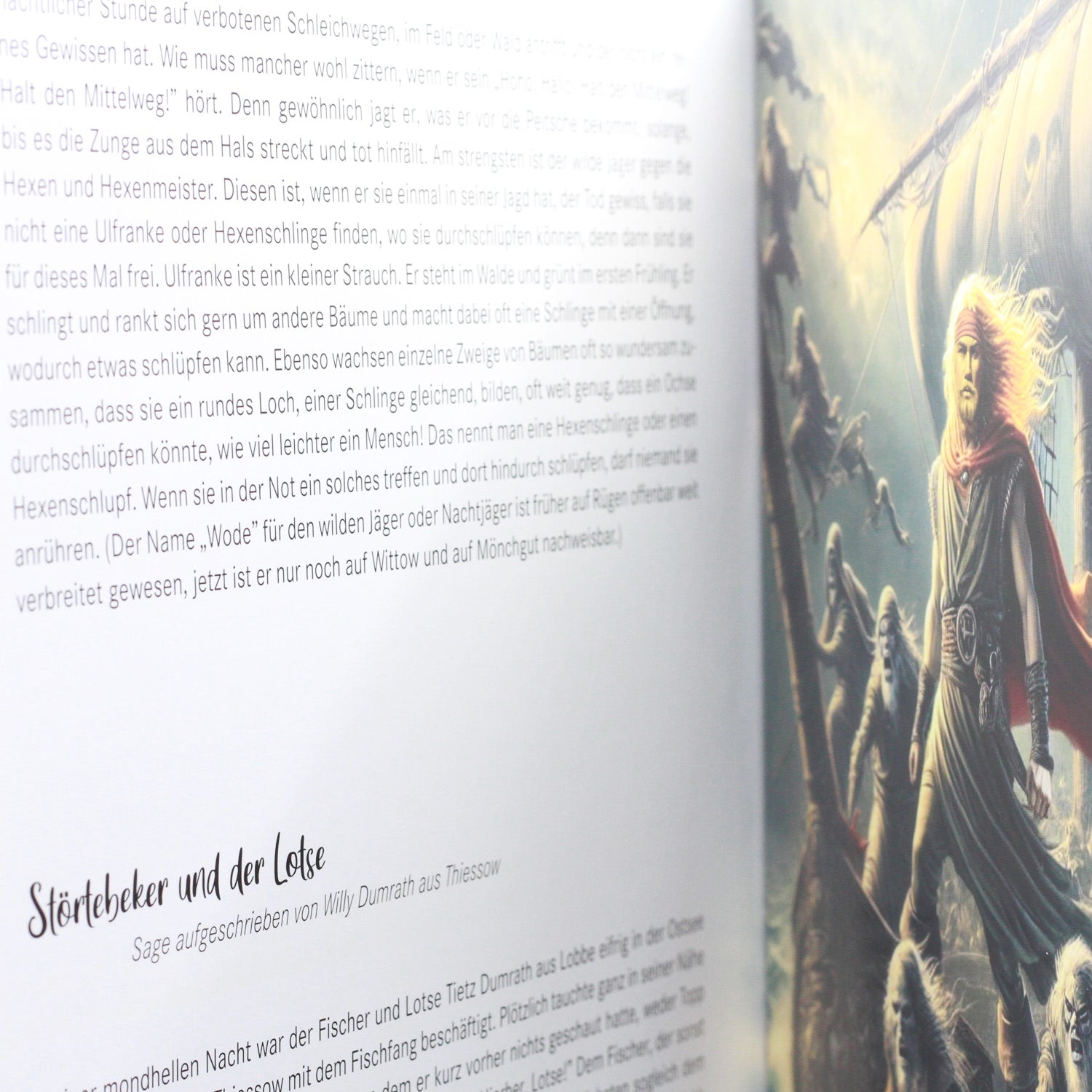 Buch »Sagen von der Insel Rügen«