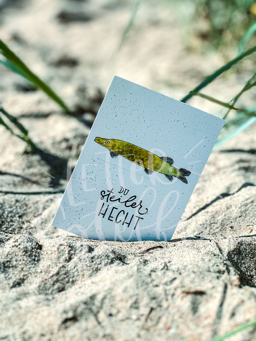 SET Postkarten „Fisch-Kollektiv-Serie“ Rügen